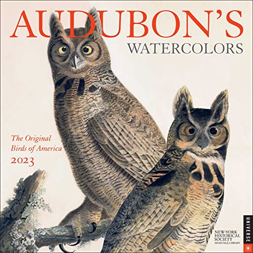 New-York Historical Society  The-Audubon's Watercolors 2023 Wall Calendar