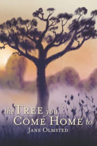 Jane Olmsted-Tree You Come Home To