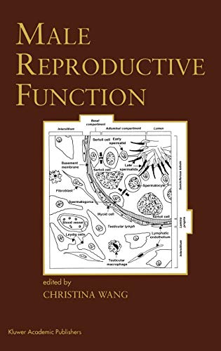 Christina Wang-Male Reproductive Function