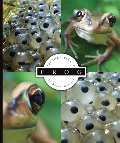 Robin Alice Merritt-The life cycle of a frog