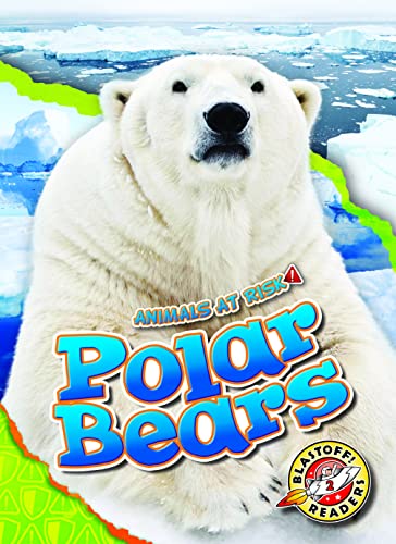 Rachel Grack-Polar Bears
