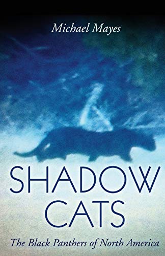 Michael Mayes-Shadow Cats