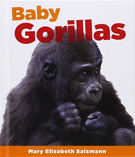 Mary Elizabeth Salzmann-Baby gorillas