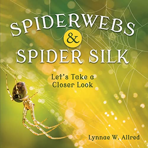 Lynnae Allred-Spiderwebs and Spider Silk