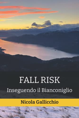 Nicola Gallicchio-Fall Risk