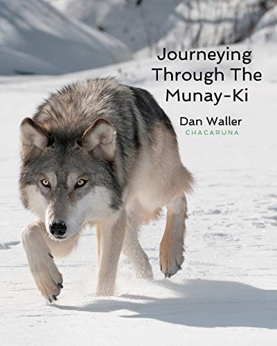 Dan Waller-Journeying Through The Munay-Ki