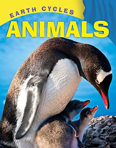 Sally Morgan-Animals