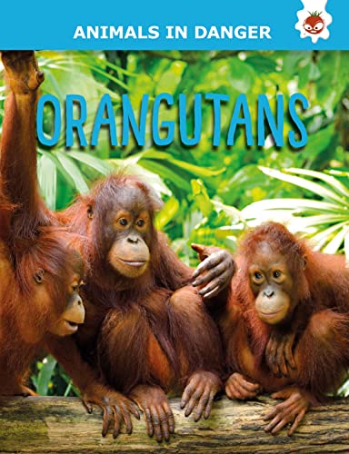Rachel Grack-Orangutans