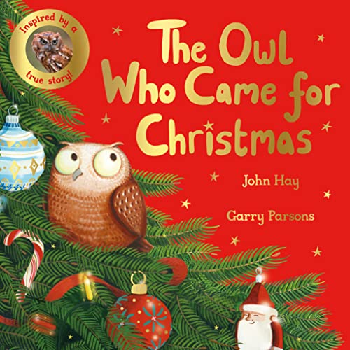 John Hay-Owl Who Came for Christmas