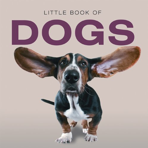 Jon Stroud-Little Book of Dogs