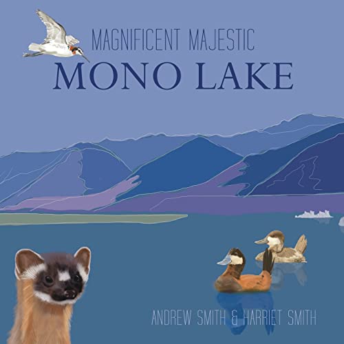 Magnificent Majestic Mono Lake - Andrew Smith