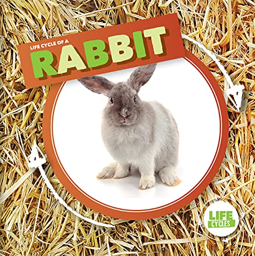 Kirsty Holmes-Life Cycle of a Rabbit