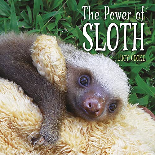 Power of Sloth One Shot - Lucy Cooke