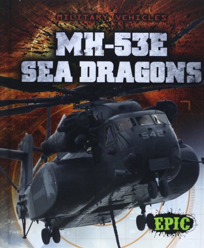 Denny Von Finn-MH-53E Sea Dragons