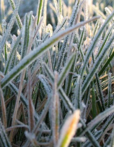 Wild Pages Press-Frost Frosty Snowman Snow Icicle Frozen Ice Block Iceberg Alaska Greenland