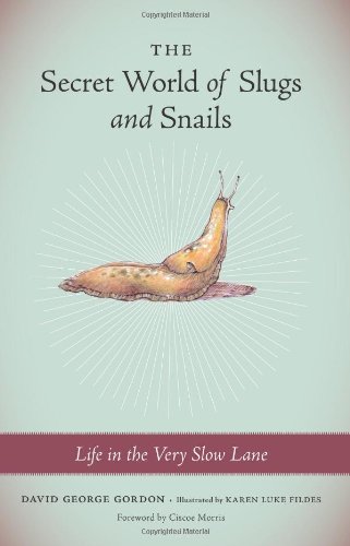 David G. Gordon-The secret world of slugs and snails