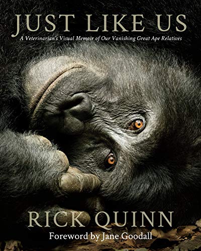 Rick Quinn-Just Like Us