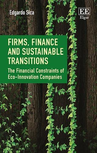 Edgardo Sica-Firms, Finance and Sustainable Transitions