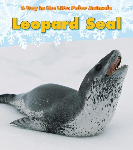 Katie Marsico-Leopard Seal