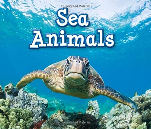 Siân Smith-Sea animals