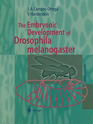 The Embryonic Development of Drosophila melanogaster - José A. Campos-Ortega