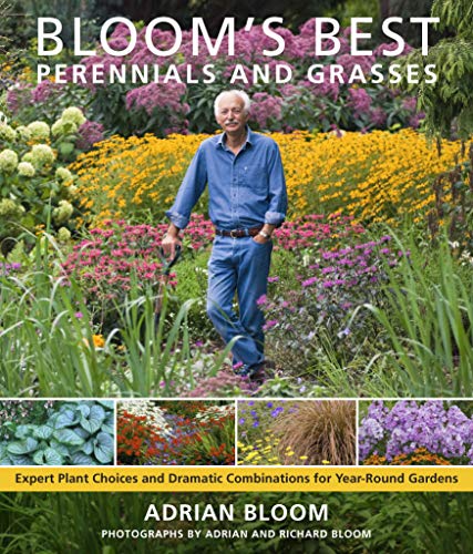 Bloom's best perennials and grasses - Adrian Bloom