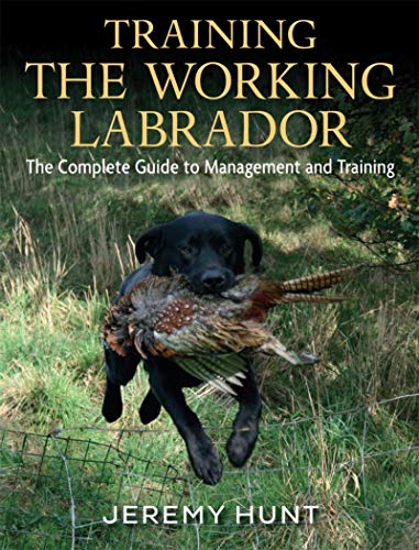 Jeremy Hunt-Training the Working Labrador