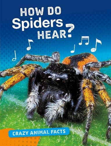 Nancy Furstinger-How Do Spiders Hear?