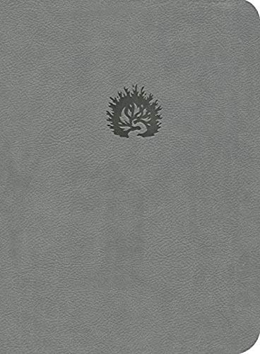 Sproul, R. C., Jr.-NKJV Reformation Study Bible, Light Gray, Leather-Like