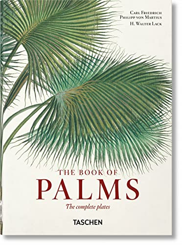 H. Walter Lack-von Martius. El libro de las palmeras. 40th Ed.