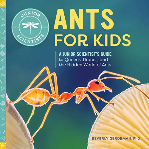 Beverly Gerdeman-Ants for Kids