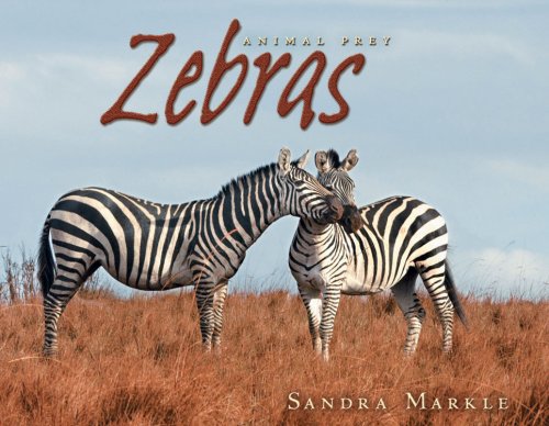 Sandra Markle-Zebras