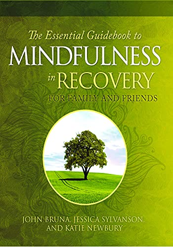 John Bruna-Essential Guidebook to Mindfulness Recovery for Family and Friends