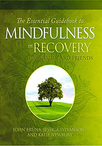 Essential Guidebook to Mindfulness Recovery for Family and Friends - John Bruna