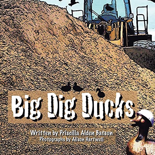 Big Dig Ducks - Priscilla Batson