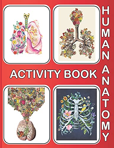 Honey Press-Human Anatomy Activity Book