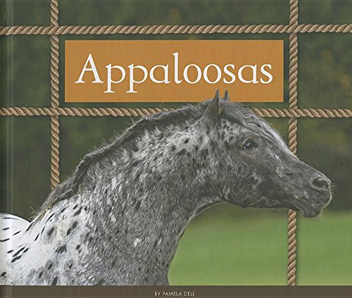 Pamela Dell-Appaloosas