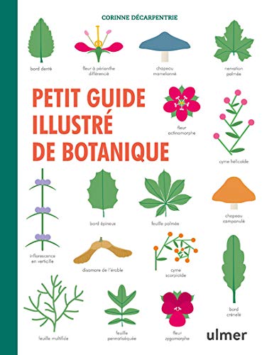 Corinne Decarpentrie-Petit guide illustré de botanique