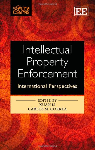 Intellectual property enforcement - Xuan Li