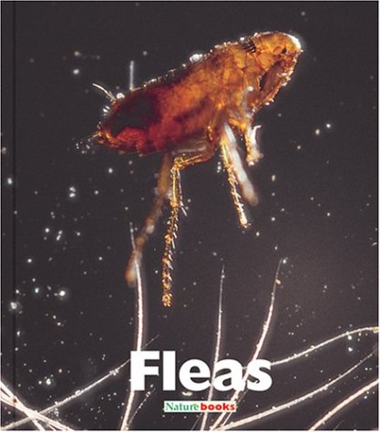 Kathryn Stevens-Fleas