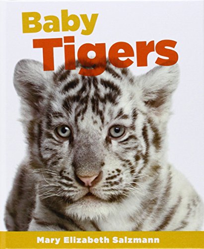 Mary Elizabeth Salzmann-Baby tigers
