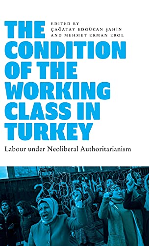 Condition of the Working Class in Turkey - Çagatay Edgücan Sahin