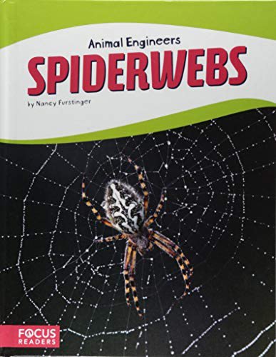 Nancy Furstinger-Spiderwebs
