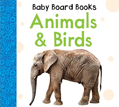 Animals and Birds - B. Jain Publishing