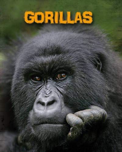 Lori McManus-Gorillas