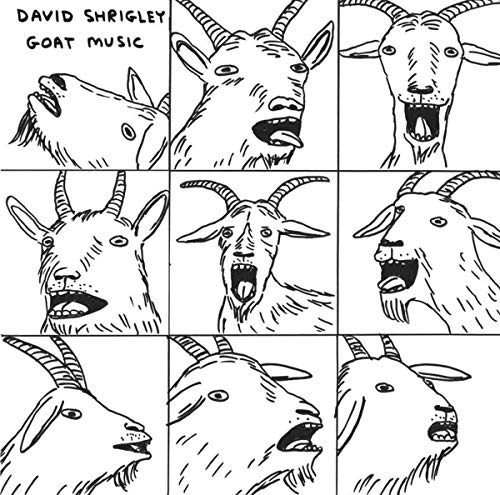 David Shrigley-David Shrigley