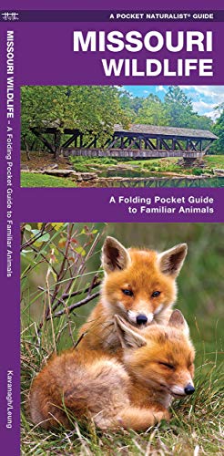 James Kavanagh-Missouri Wildlife An Introduction To Familiar Species