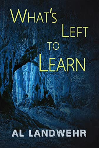 What's Left to Learn - Al Landwehr