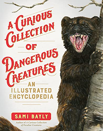 Sami Bayly-Curious Collection of Dangerous Creatures