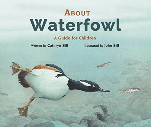 About Waterfowl - Cathryn Sill